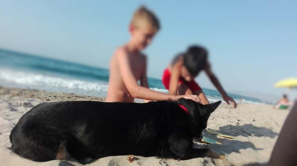 noi e il cane a Platamona noi e il cane a Platamona